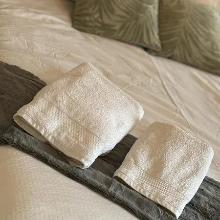 Appartement En Centre + Wifi Labruguière