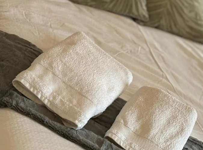 Appartement En Centre + Wifi Labruguière